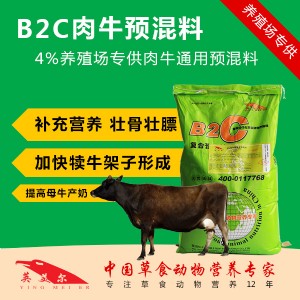 S(chng)ֱl(f)B2Cţ(zhun)Ï(f)A(y) ţA(y) ţA(y) I(mi)50ٛ(zng)10