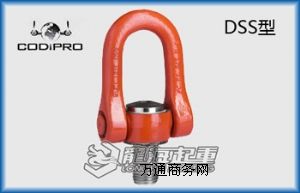 RɭCODIPRO DSSD(zhun)h(hun)Ҏ(gu) 