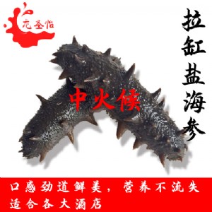 批發(fā)拉缸鹽遼參 野生海參 中火候 多種規(guī)格