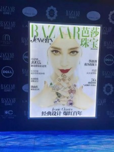 όˇZ(y)䌣(zhun)I(y)ledS